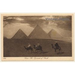 Lehnert & Landrock N°1042: Cairo - The Pyramid of Gizeh / Camel (Vintage PC 1910s/1920s)