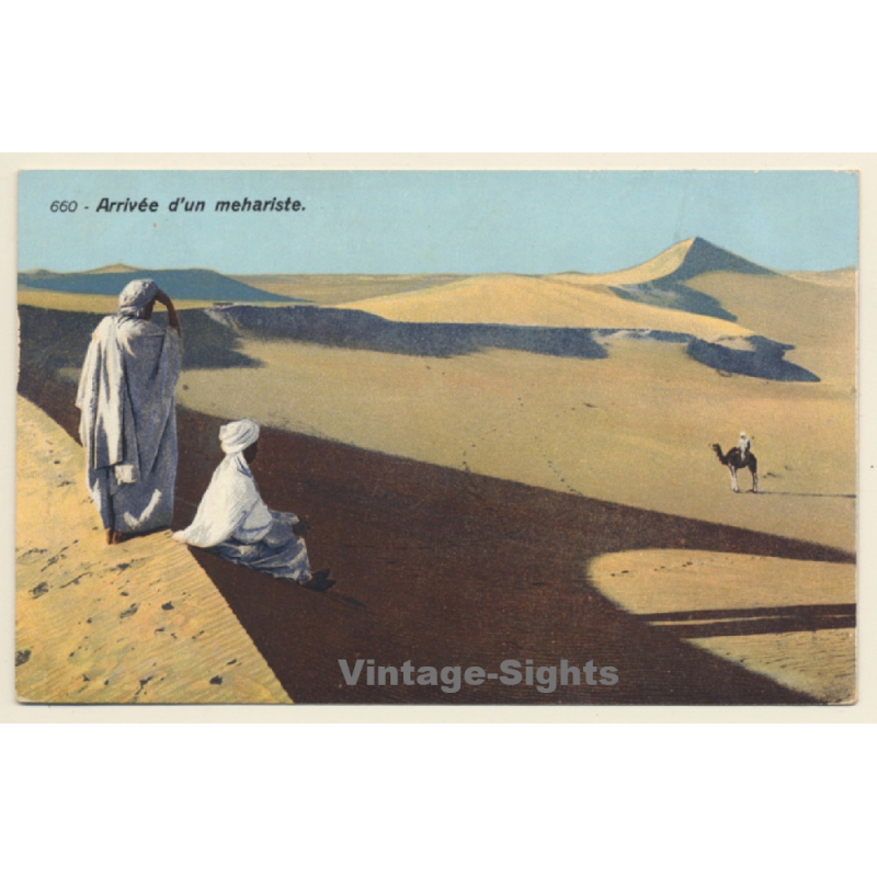 Lehnert & Landrock N°660: Arrivée d'un Mehariste / Camel (Vintage PC 1910s/1920s) Lehnert & Landrock N°660: Arrivée d'un Mehariste / Camel (Vintage PC 1910s/1920s)