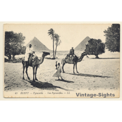 LL 63 / Egypt: Les Pyramides / Camels (Vintage PC 1910s/1920s)