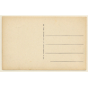 LL 63 / Egypt: Les Pyramides / Camels (Vintage PC 1910s/1920s)