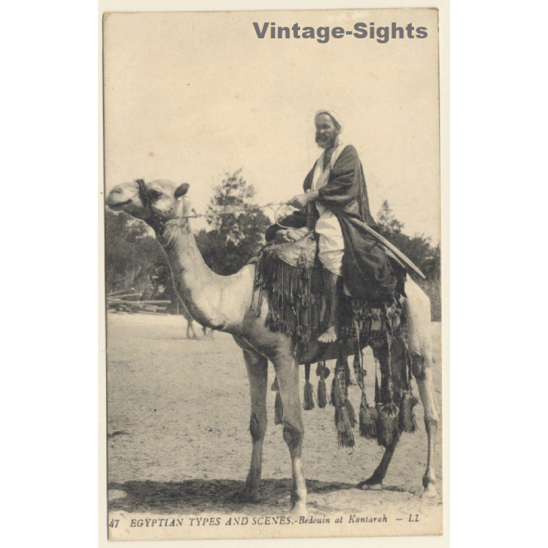 LL 47 / Egypt: Bedouin at Kantarah / Camels (Vintage PC 1910s/1920s)