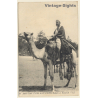 LL 47 / Egypt: Bedouin at Kantarah / Camels (Vintage PC 1910s/1920s)