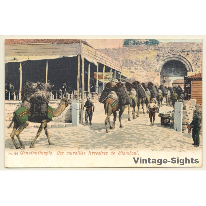 Constantinople - Istanbul: Murailles Terrestres De Stambul / Camels (Vintage PC 1900s)