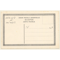 Egypt: Harvesting The Dates / Camels (Vintage PC 1910s)