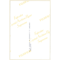 Erotic Study: Longhaired Blonde Semi Nude In Transparent Lingerie (Digital Photo Print ~2000s)