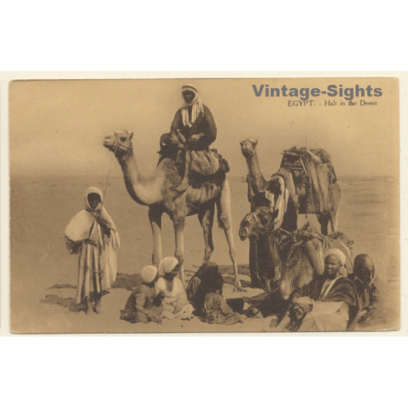 Egypt: Halt in the Desert / Camels - Caravan (Vintage PC 1910s/1920s)