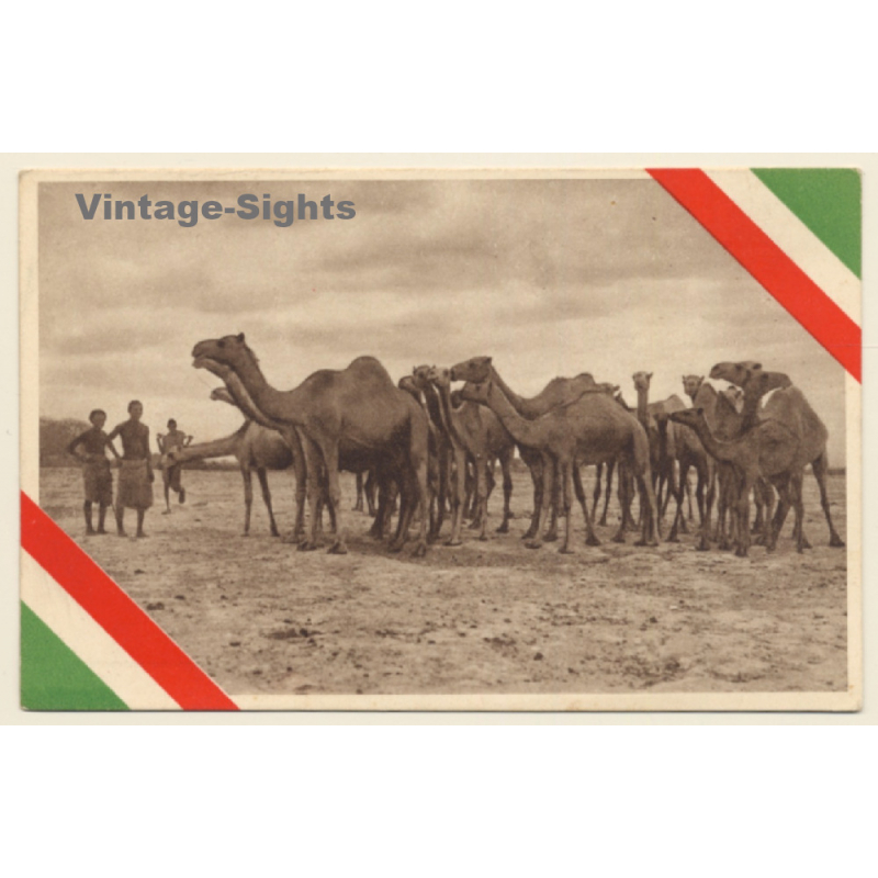 Somalia / Italian Colony: Natives & Camel Caravan (Vintage PC ~1920s)