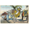 Maghreb: Chameaux d'un Mariage Arabe / Camel (Vintage PC ~1910s)