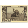 Camel & Dromedary (Vintage Artist PC J.MINTZ 1909)