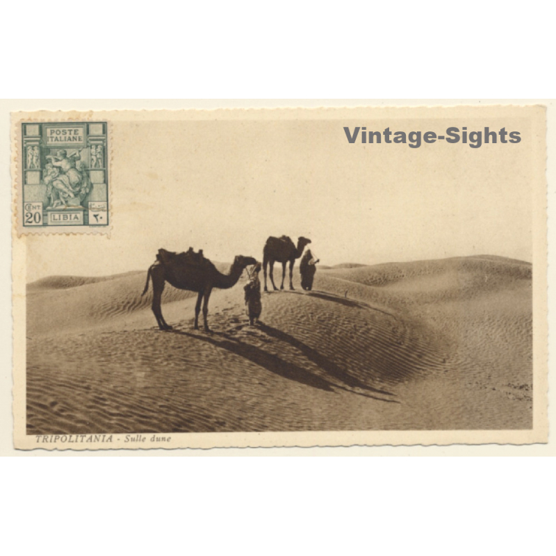 Tripolitania / Ex Italian Colony: Camel Caravan in Desert (Vintage PC 1910s/1920s)