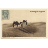 Tripolitania / Ex Italian Colony: Camel Caravan in Desert (Vintage PC 1910s/1920s)