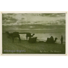 Tel-Aviv / Israel: Camels On Beach (Vintage RPPC 1920s/1930s)