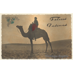 Maghreb: Berber On Camel In The Sunset (Vintage Hand Colored RPPC 1920s/1930s)