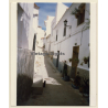 Lydia Nash: Black Cat in Ibiza Town Alley (Vintage Photo 1980s)