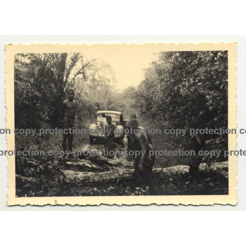 1936 Hudson Terraplane Stuck In Jungle / Natives  - Congo? (Vintage Photo B/W)