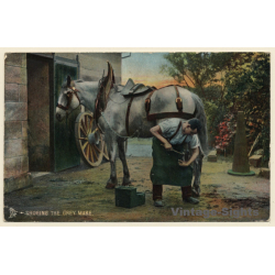 Horse Blacksmith Shoeing The Grey Mare (Vintage PC ~1910s/1920s)