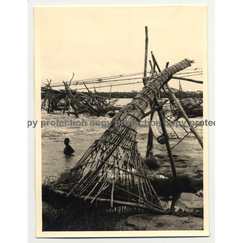 Braided Fishing Traps - Lualaba River, Kabalo / Congo (Vintage Photo B/W  ~1950s)