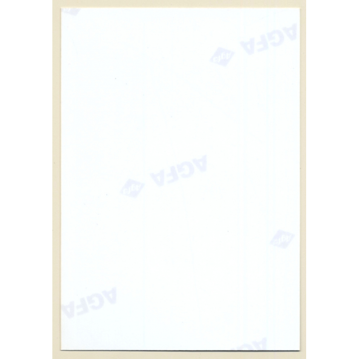 Erotic Study: Great Take Of Topless Shorthaired Female (Vintage Photo ~1990s)