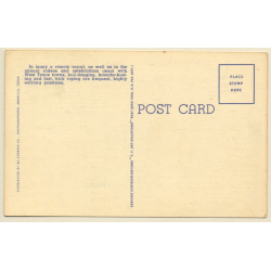 Wild West: Bull Dogging A Hereford Steer / Cowboys (Vintage Linen PC ~1940s)