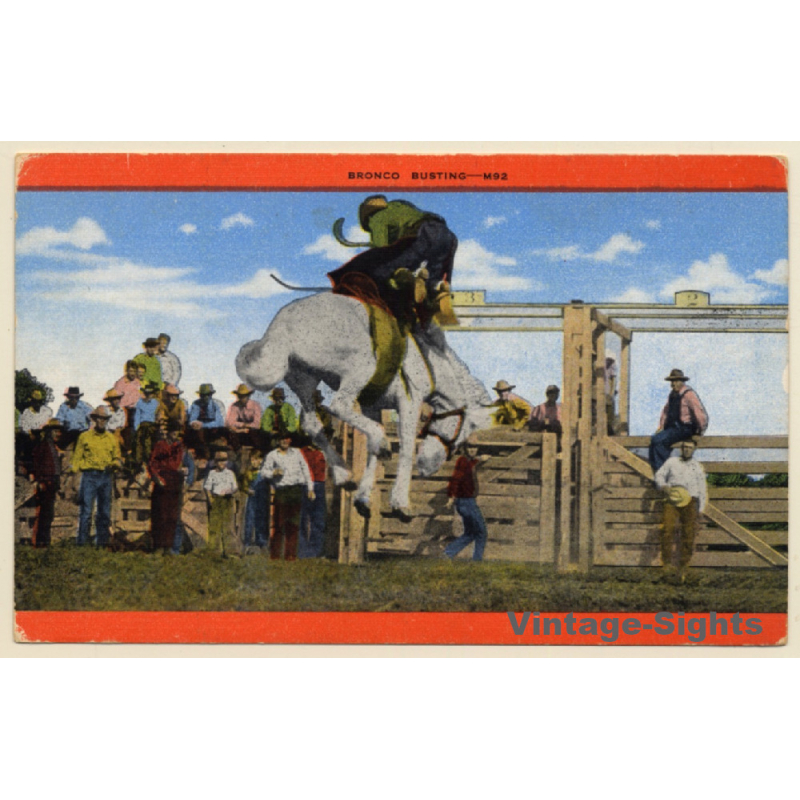 Rodeo: Bronco Busting / Cowboy (Vintage Linen PC ~1950s/1960s)