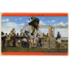Rodeo: Bronco Busting / Cowboy (Vintage Linen PC ~1950s/1960s)