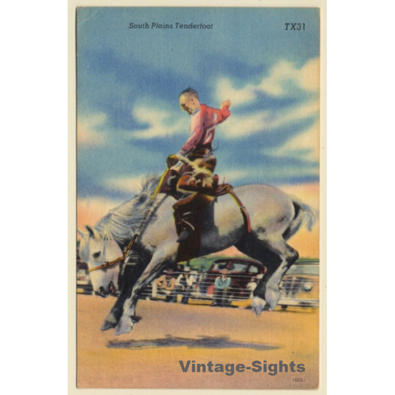 Rodeo: South Plains Tenderfoot / Cowboy (Vintage Linen PC ~1950s)