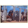 Calgary Rodeo: Ya Hoo Yowie! / Cowboy (Vintage PC ~1960s/1970s)