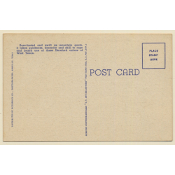 Cowboy Roping A Calf On A West Texas Ranch (Vintage Linen PC ~1940s)