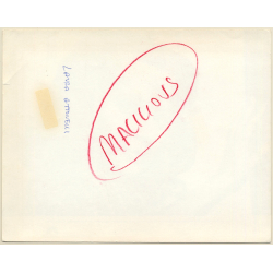 Laura Antonelli: Malizia *2 (Vintage Press Photo/Movie Still 1973)