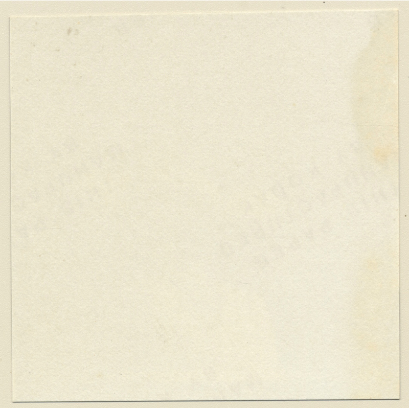 Erotic Study: Racy Busty Semi Nude Pin-up Outdoors*16 / Close-up Boobs (Vintage Contact Sheet