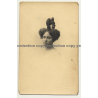 Woman W. Crazy Upstyle Hairstyle / Fashion (Vintage Postcard A. Louvois 1919)