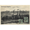 Marrakesh / Morocco: Le Palmerais - Camel - Palm Trees (Vintage PC 1916)