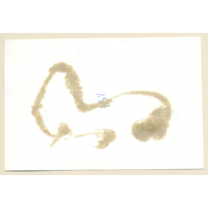 Master Whips To Maids In Dungeon / BDSM (2nd Gen Photo ~1950s/1960s)