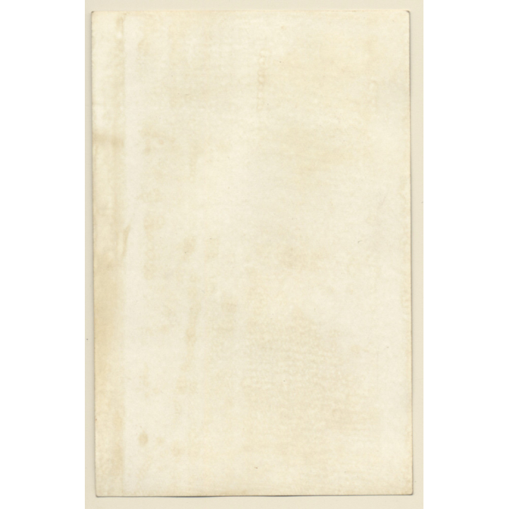 Pretty Brunette Pin-Up Girl In Bikini*1 / Beehive (Vintage Photo Czechia ~1960s)