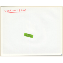 Kay Parker In Dracula's Bride / US Adult Movie 1980 (Vintage Press Photo/Movie Still)