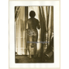Erotic Study: Rear View Of Semi Nude Looking Out Window (French Master Photo 1980s)