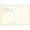 BOEING C-97 Stratofreighter / Aviation (Vintage RPPC  1950s/1960s)