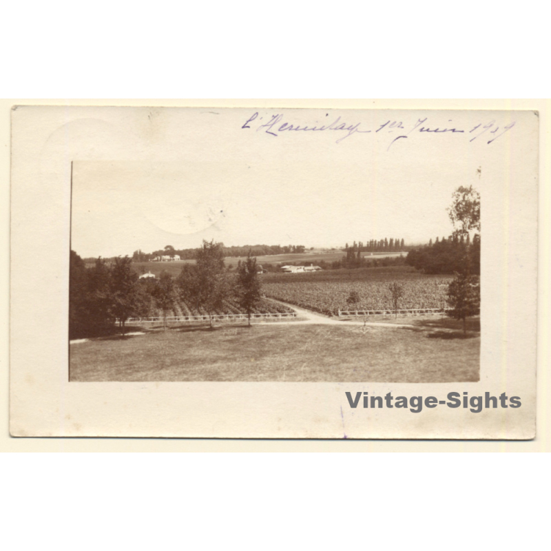 Gironde ?: L'Hermitage / Bordeaux Winery - Wineyard (Vintage RPPC 1909)