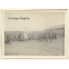 WW1: Memorial Ceremony Battle Of Messines / Group Of Soldiers - Parade (Rare Vintage Photo ~1917/1918)
