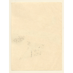 Köln Mülheim / Germany: Hotel Fürstenberger Hof (Vintage Luggage Label ~1950s/1960s)