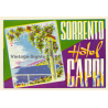 Sorrento / Italy: Hotel Capri (Vintage Luggage Label ~1950s/1960s)