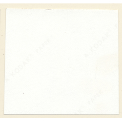 Erotic Study: Pretty Blonde Nude At Swimming Pool *11 (Vintage Contact Sheet 1970s/1980s)