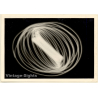 Experimental Art: Light Circles (Vintage Photo ~1940s/1950s)