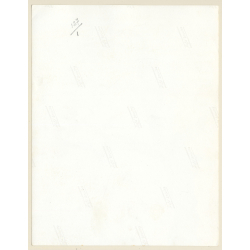 Mallorca: Great Take Of Dead Oak Tree (Vintage Photo ~1960s)