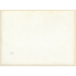 Mallorca: Detail Of Large Prickly Pear Cactus / Feigenkaktus (Vintage Photo ~1960s)