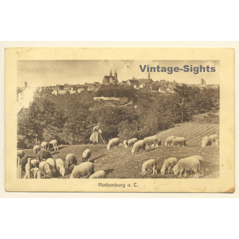 Rothenburg o.d. Tauber: Total View / Sheppard & Sheep (Vintage PC 1910) Rothenburg o.d. Tauber: Total View / Sheppard & Sheep (Vintage PC 1910)