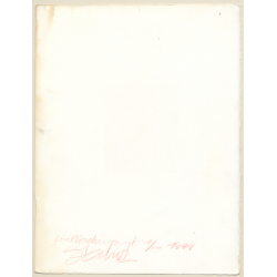 Paul Steinitz (1968): Erotic Photo Art *1 Lim.Ed. 1/10 (Vintage Platinum Palladium Print 1999)