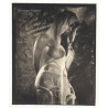 Paul Steinitz (1968): Erotic Photo Art *3 Lim.Ed. 1/10 (Vintage Platinum Palladium Print 1999)