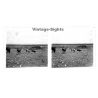 N'Djili - Kimpoko - Léopodville / Congo: Cows Out In The Steppe / Cattle (Vintage Stereo Glass Plate 1934)