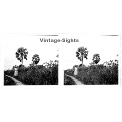 N'Djili - Kimpoko - Léopodville / Congo: Colonial Woman Posing In Front Of Palm Trees (Vintage Stereo Glass Plate 1934)
